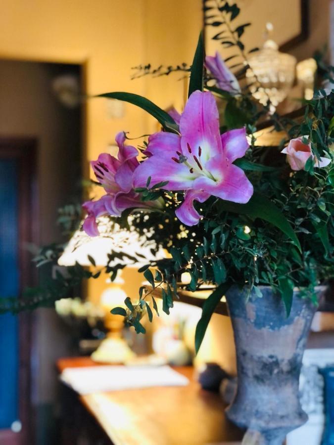 Casa Cambini Bed & Breakfast Marina di Massa Exterior photo