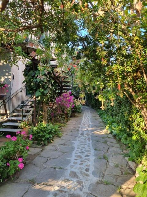 Casa Cambini Bed & Breakfast Marina di Massa Exterior photo