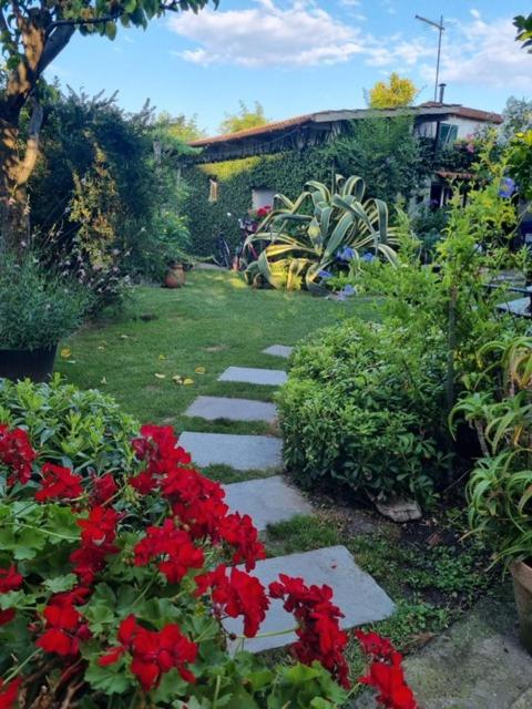 Casa Cambini Bed & Breakfast Marina di Massa Exterior photo