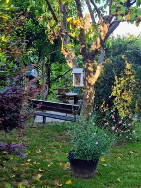 Casa Cambini Bed & Breakfast Marina di Massa Exterior photo